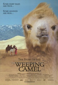 weeping-camel
