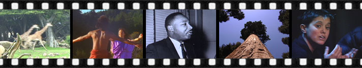 Random banner image